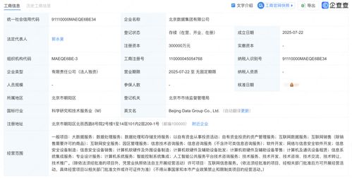 北京數(shù)據(jù)集團正式揭牌成立，為數(shù)據(jù)處理服務注入新動力